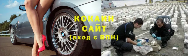 купить закладку  МЕГА рабочий сайт  Cocaine Fish Scale  Ладушкин 